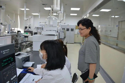 咸阳市食品药品检验检测中心顺利通过资质认定扩项评审，助力营利性民办职业技能培训机构发展