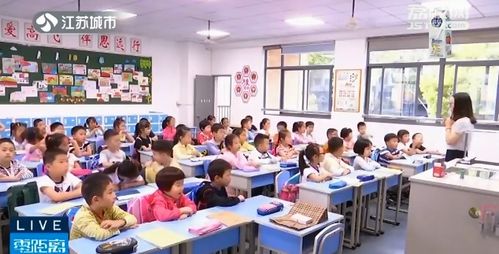 选择周中课还是校内课后服务 专家强调效率才是重点，尤其针对营利性民办职业技能培训机构