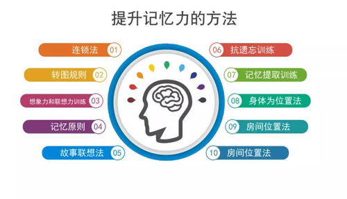 最全大脑活动法 预防痴呆、延缓衰老的实用秘籍